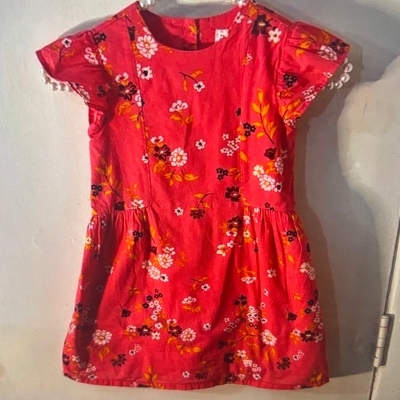 GAP Other - Baby GAP Floral Pink Dress 5 RetroNature Princesscore Cottagecore Boho Fairycore